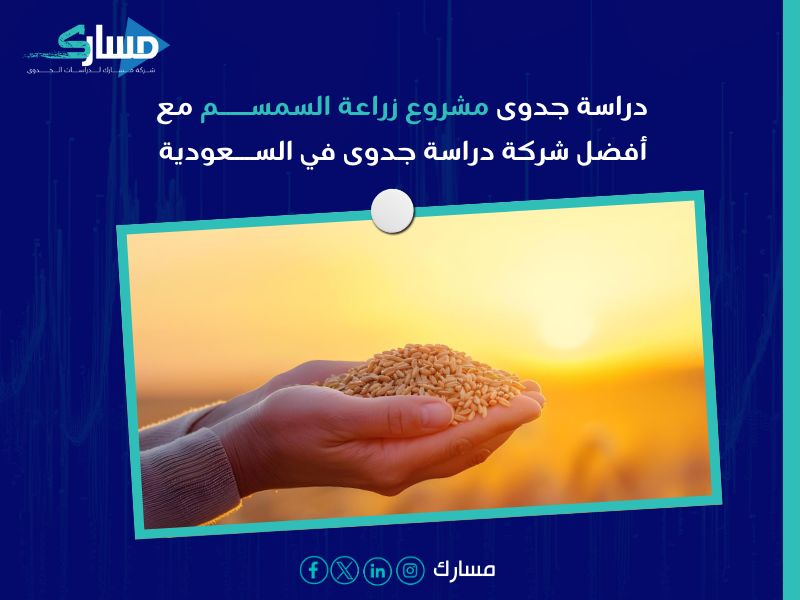 دراسة جدوى مشروع زراعة السمسم