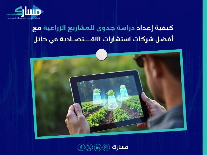 شركات استشارات الاقتصادية في حائل