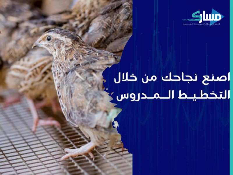 شركات دراسة جدوى في الرياض - دراسة جدوى مفصلة لفرص الربح في مشروع السمان
