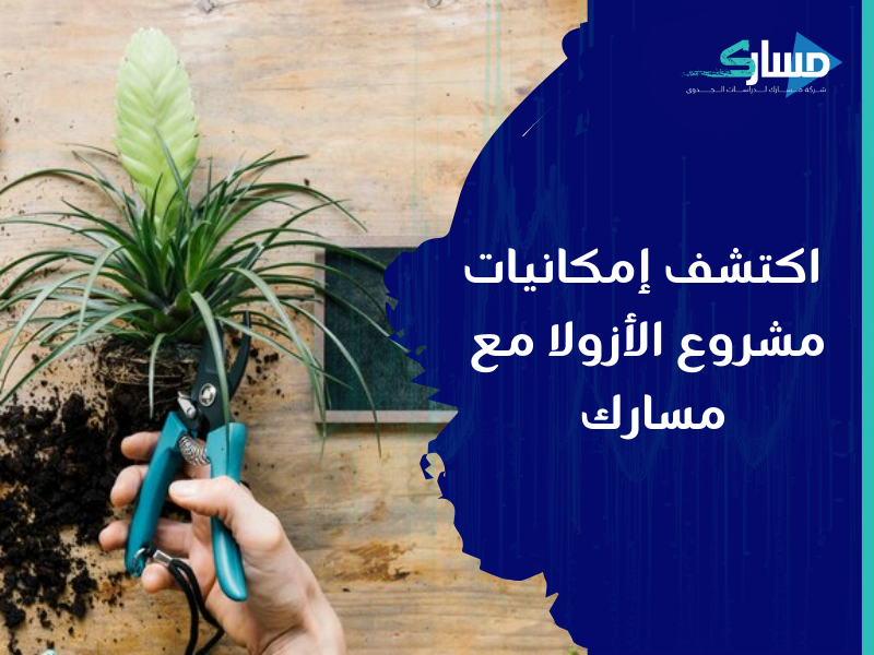 شركة دراسات جدوى في الرياض - الأزولا كنز اقتصادي اكتشف إمكانيات هذا المشروع مع مسارك