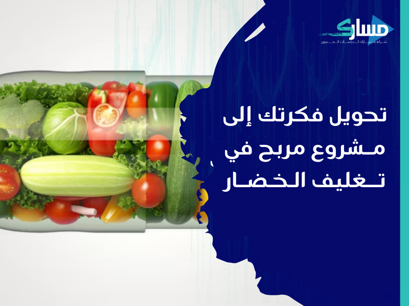 شركة دراسة جدوى