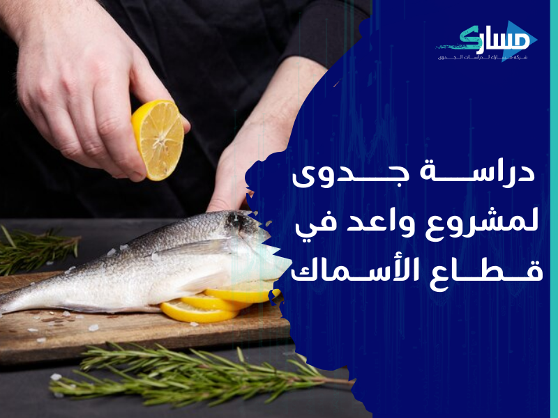 أفضل شركة دراسات جدوى في الرياض - دراسة الجدوى في مشروع بيع الأسماك