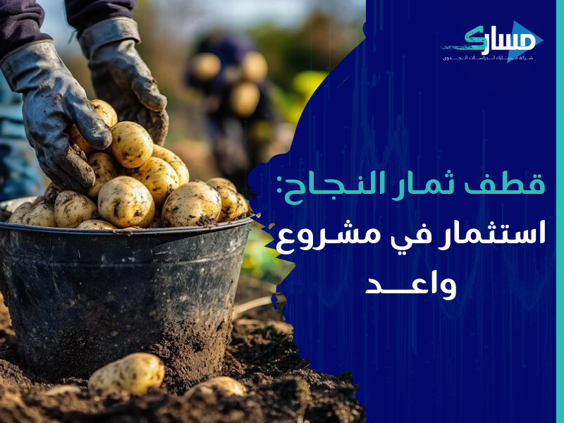 شركة دراسات جدوى في الرياض - دراسة جدوى لمشروع تقطيع البطاطس