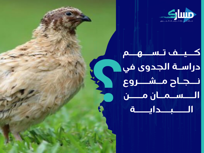 شركات دراسة جدوى في الرياض - دراسة جدوى مفصلة لفرص الربح في مشروع السمان