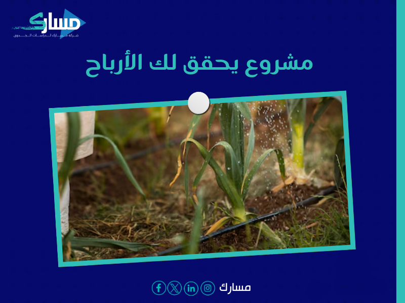 شركة دراسات جدوى في الرياض - دراسة جدوى مشروع عصير القصب استثمار منعش بأرباح مضمونة