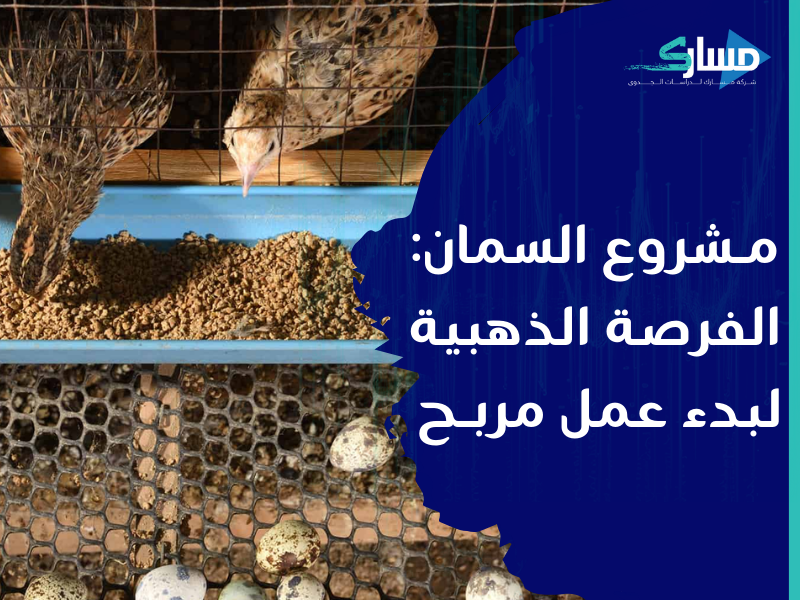 شركات دراسة جدوى في الرياض - دراسة جدوى مفصلة لفرص الربح في مشروع السمان