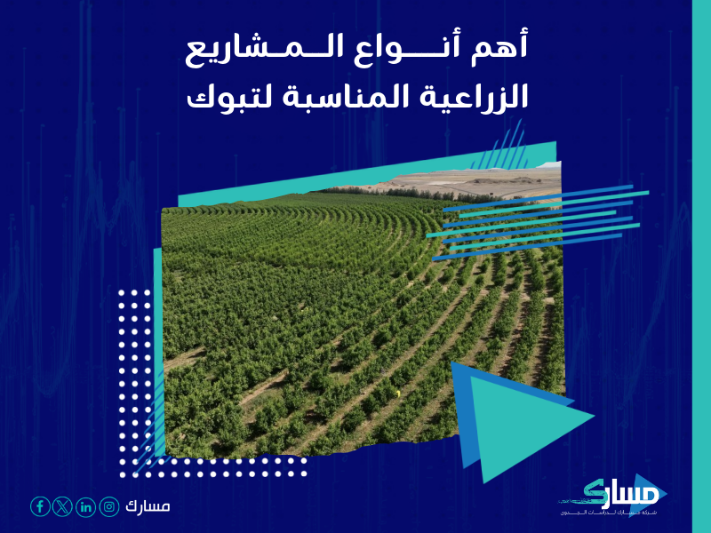شركة دراسات جدوى