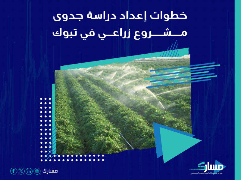 شركة دراسات جدوى