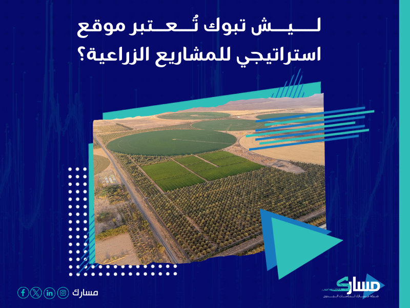 شركة دراسات جدوى