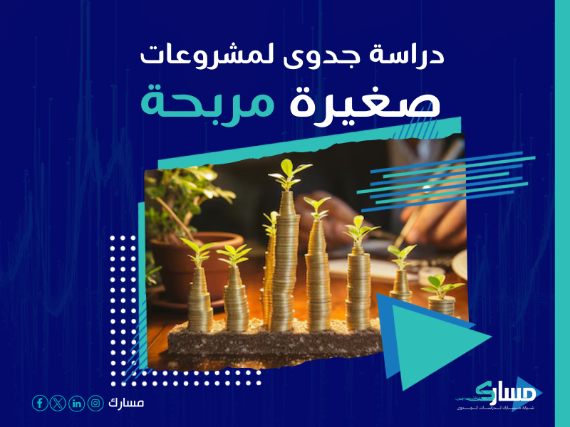 دراسة جدوى مشروع