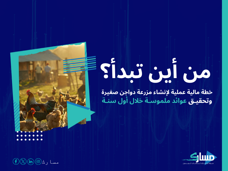 تكلفة إنشاء مزرعة دواجن في السعودية