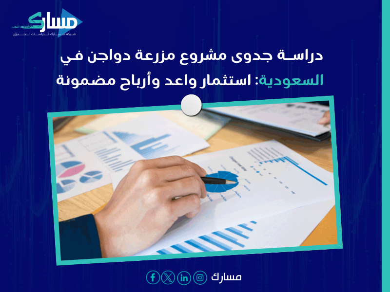 تكلفة مزرعة دواجن السعودية