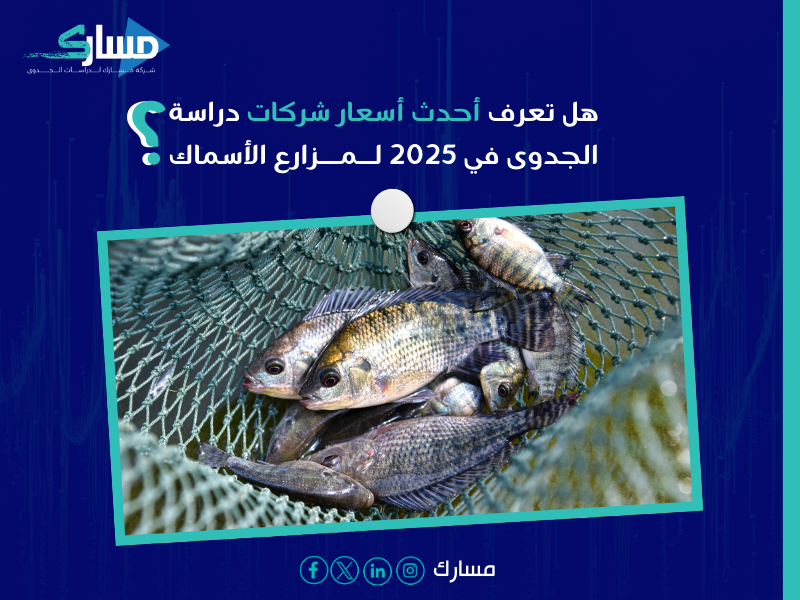 عرض سعر دراسة جدوى
